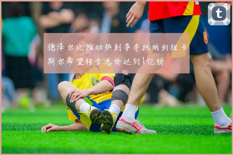 德泽尔比推动热刺争夺托纳利纽卡斯尔希望转会总价达到1亿镑